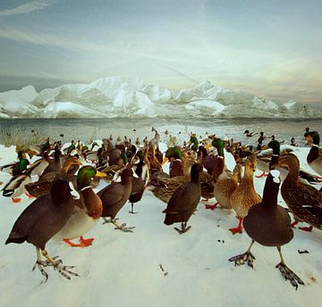 Winter landscape with ducks by Marijke van Loon