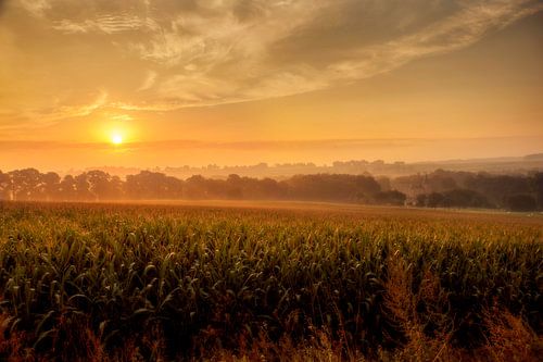 Mistige zonsopkomst in Zuid-Limburg