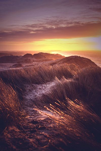 View over Denmark's dunes by Florian Kunde