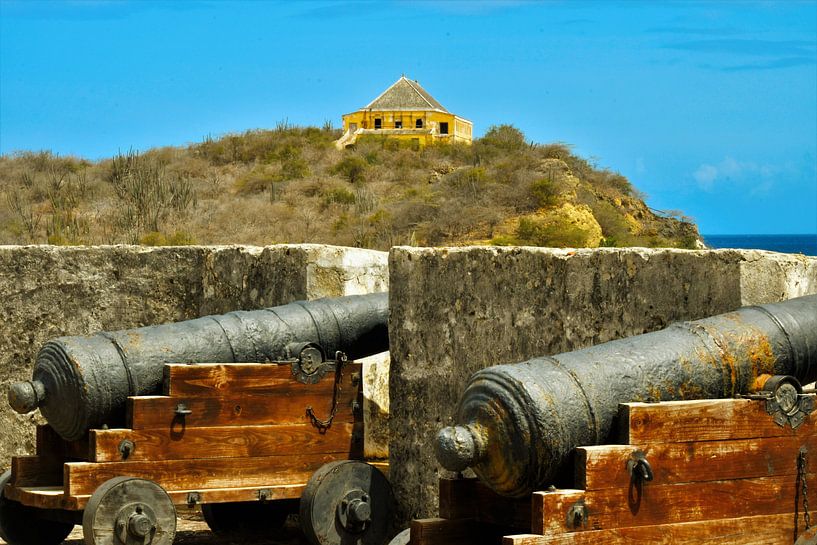 Pesthuis Curacao van Dubbel Dushi