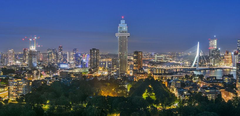 Blick auf Rotterdam von Nico Dam
