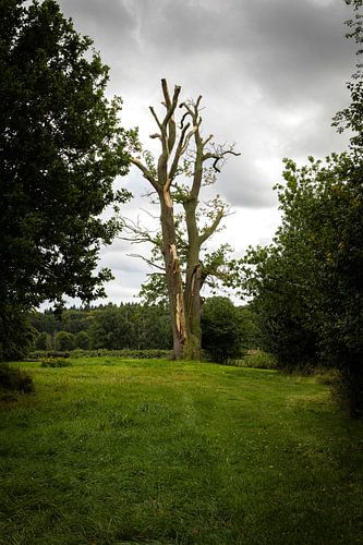 Ciel noir au-dessus de Corversbos Hillversum