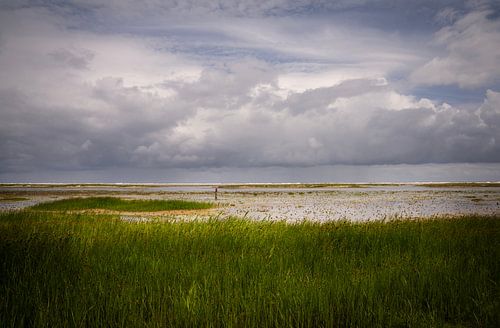 Het Groene Strand van Ballum op Ameland