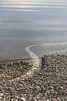 wave_nature-art installation