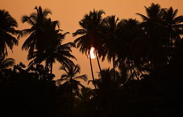 Sonnenuntergang in Bentota von Dilani Butink