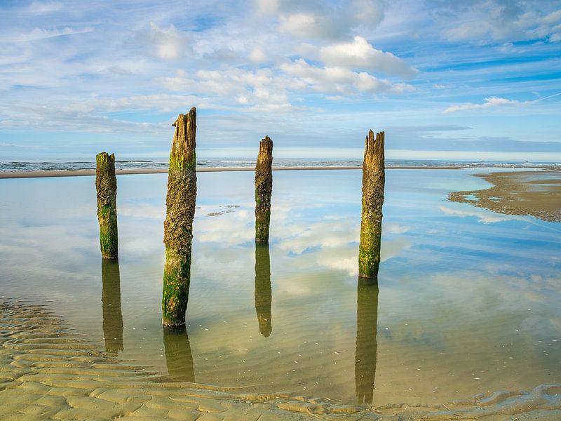 Remains of a house for drowning by Jan Huneman