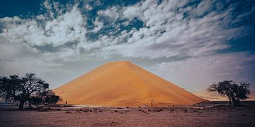 Duin in Sossusvlei in Namibië, Afrika van Patrick Groß