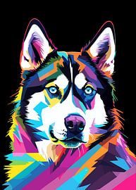 Husky de Sibérie Pop Art
