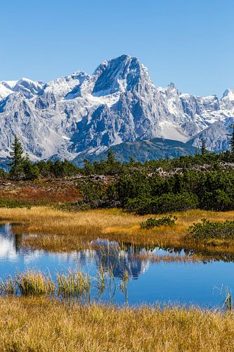 Schwarze Lacke am Gerzkopf mit Dachsteingebirge
