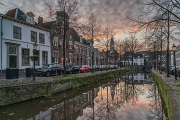 Havik Amersfoort van Jeroen de Jongh