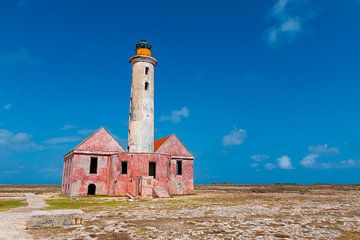 Klein Curacao van LUNA Fotografie