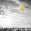 Een Vogelbok, Hector Giacomelli met ballon van Digital Art Studio