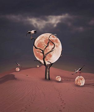 Moon picking by Catherine Fortin