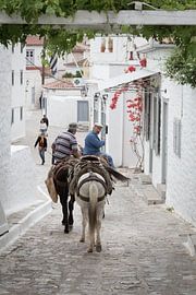 Ezeltjes op de weg terug by Catching Moments