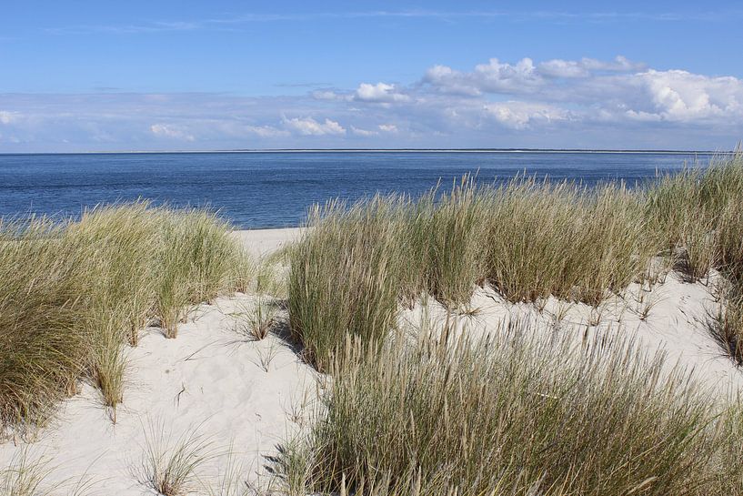 Düne mit Dünengras im Ellenbogen auf Sylt von Martin Flechsig
