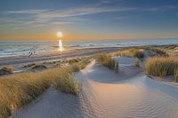 Landschap Kust
