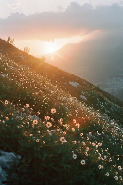 Wandelen bij zonsopgang van fernlichtsicht