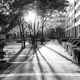 Zwart-wit foto van de binnentuin van Cortile, met tegenlicht en lange schaduwen en één spelend kind van Streets of Maastricht