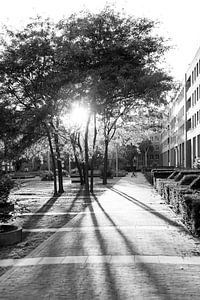 Zwart-wit foto van de binnentuin van Cortile, met tegenlicht en lange schaduwen en één spelend kind