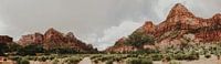 Zion National Park von Amber den Oudsten Miniaturansicht