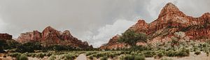 Zion National Park