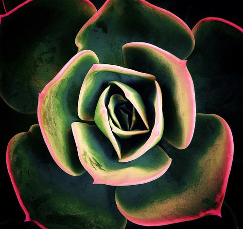 DONKERE KANT VAN VETPLANTEN XV