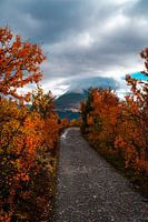 Mountain view in autumn, leaves and clouds