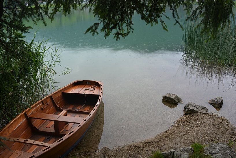 Oostenrijk by Lisa van Dam