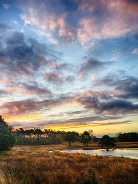 Beautiful sunrise with amazing colours in The Netherlands. sur Mete Yildiz