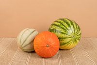 Striped Fruit Still Life