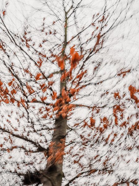 Autumn in motion by Imaginative