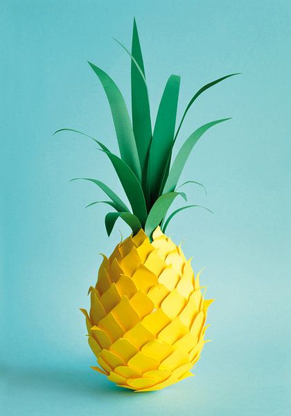 Ananas van Lonneke Leever