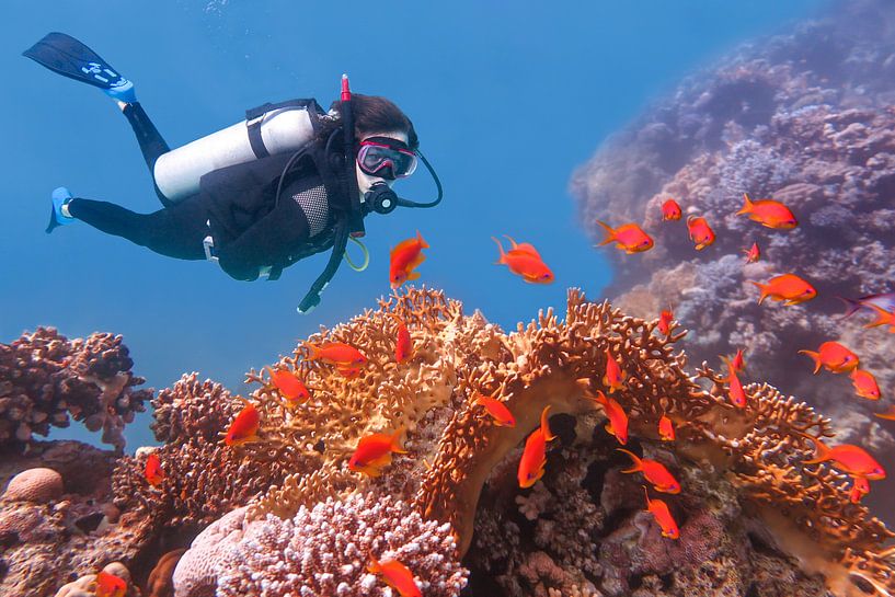 Un jeune Néerlandais plonge dans la mer avec du corail et des poissons orange par Ben Schonewille