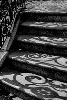 Stone staircase with curly shadows