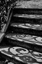 Stone staircase with curly shadows by Anne Ponsen thumbnail