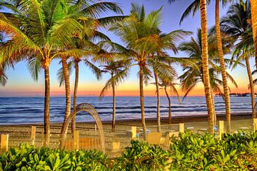 Uitzicht door de palmbomen Cabarete Beach van Roith Fotografie
