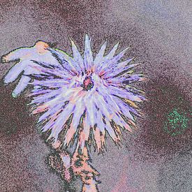 verbrauchte Blume künstlerisch von Vrije Vlinder Fotografie