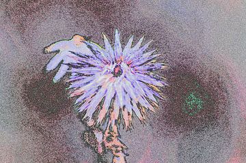 verbrauchte Blume künstlerisch von Vrije Vlinder Fotografie