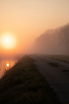 Misty morning 1 by Mirjam Duizendstra