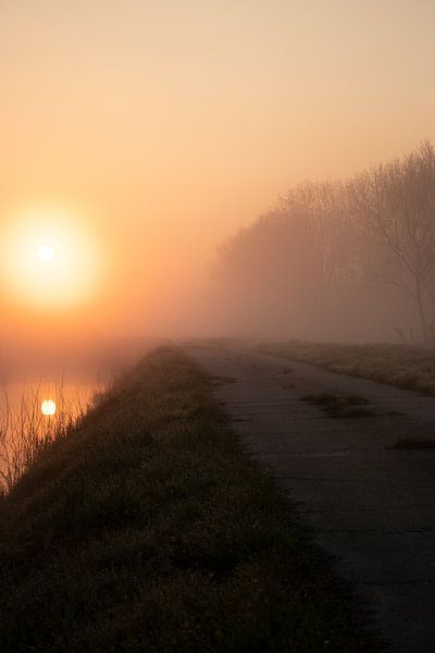 Misty morning 1 van Mirjam Duizendstra