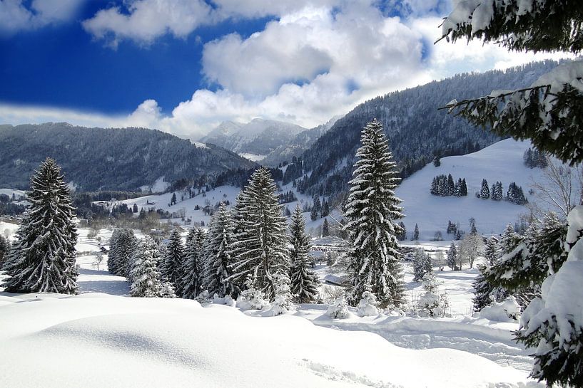 Winter in den Bergen von Renate Knapp