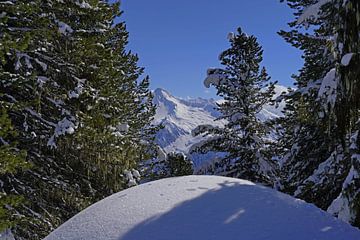 Winterwandeling in de Tuxer Alpen van Babetts Bildergalerie