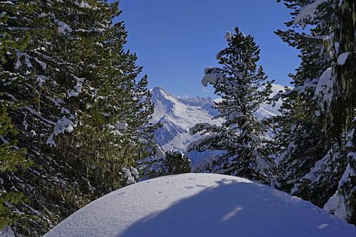 Winterwandeling in de Tuxer Alpen