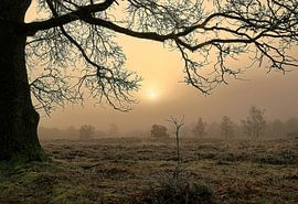 Duvelskuul - Afferden by Guus Rameckers