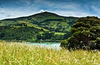 Banks Peninsula - Nieuw Zeeland van Ricardo Bouman thumbnail