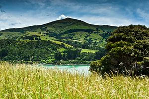 Banks Peninsula - Nieuw Zeeland van Ricardo Bouman