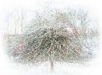 Apple tree in the snow