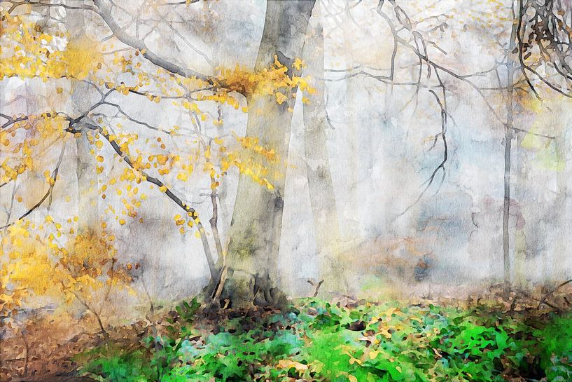 Forest Watercolour by Peter Bolman