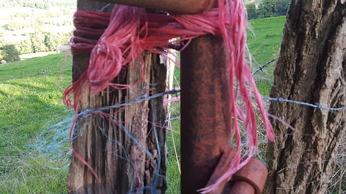 Roze touw om paal