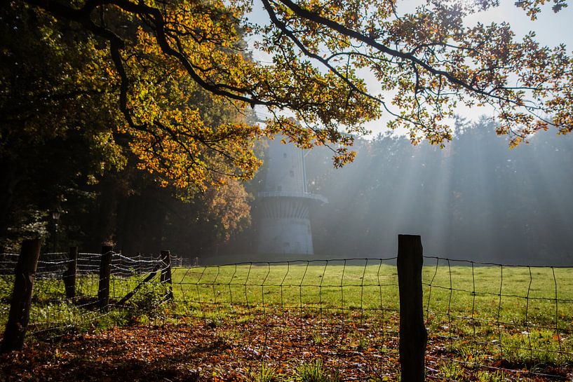 Moudre dans le brouillard par Suzanne Schoepe